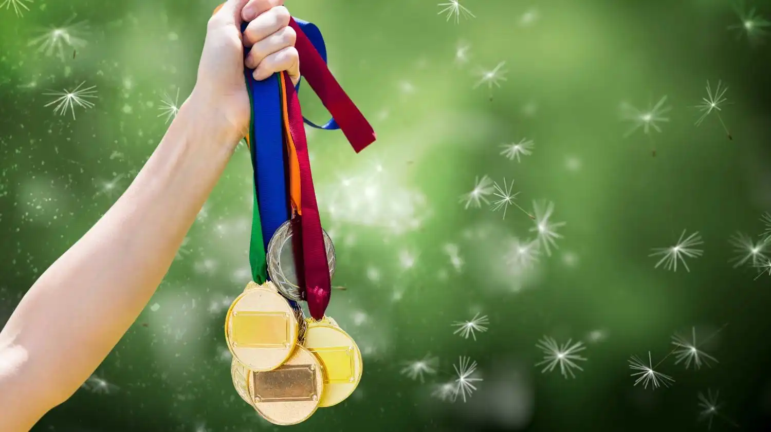 Sports Excellence Award